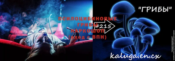 гашик Белоозёрский