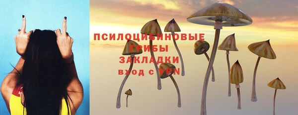 меф Белокуриха