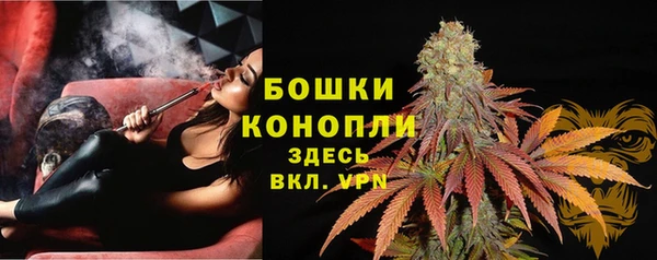 меф Белокуриха