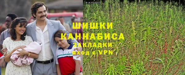 гашик Белоозёрский