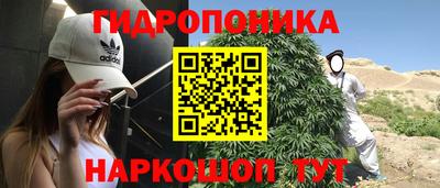 индика Краснокаменск