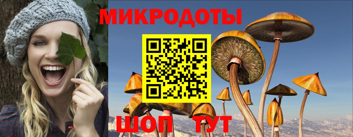Галлюциногенные грибы MAGIC MUSHROOMS  где продают наркотики  Кстово  Вход с VPN 