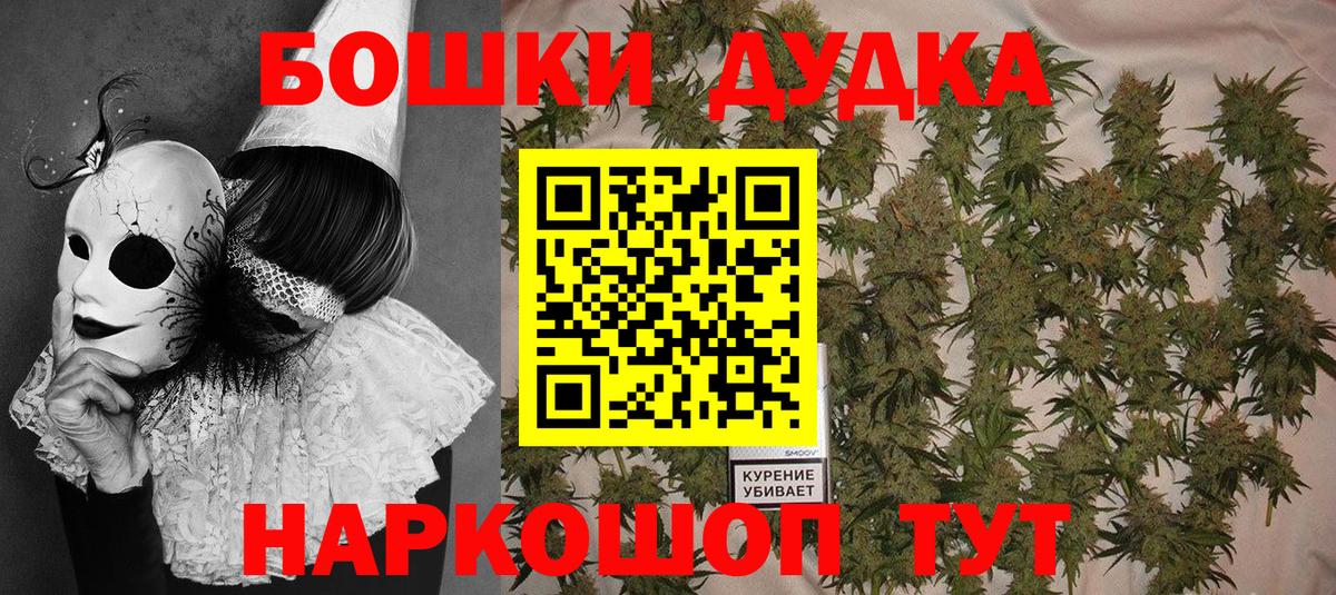 Конопля сатива Кстово